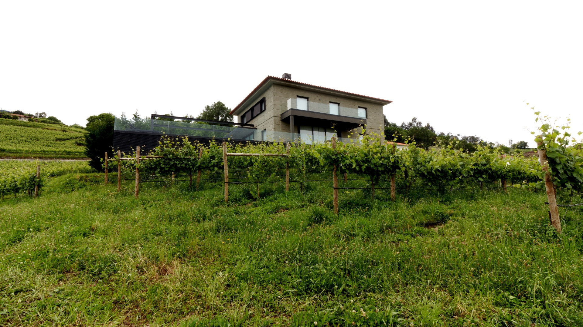 Quinta da Pigarra imagem 5