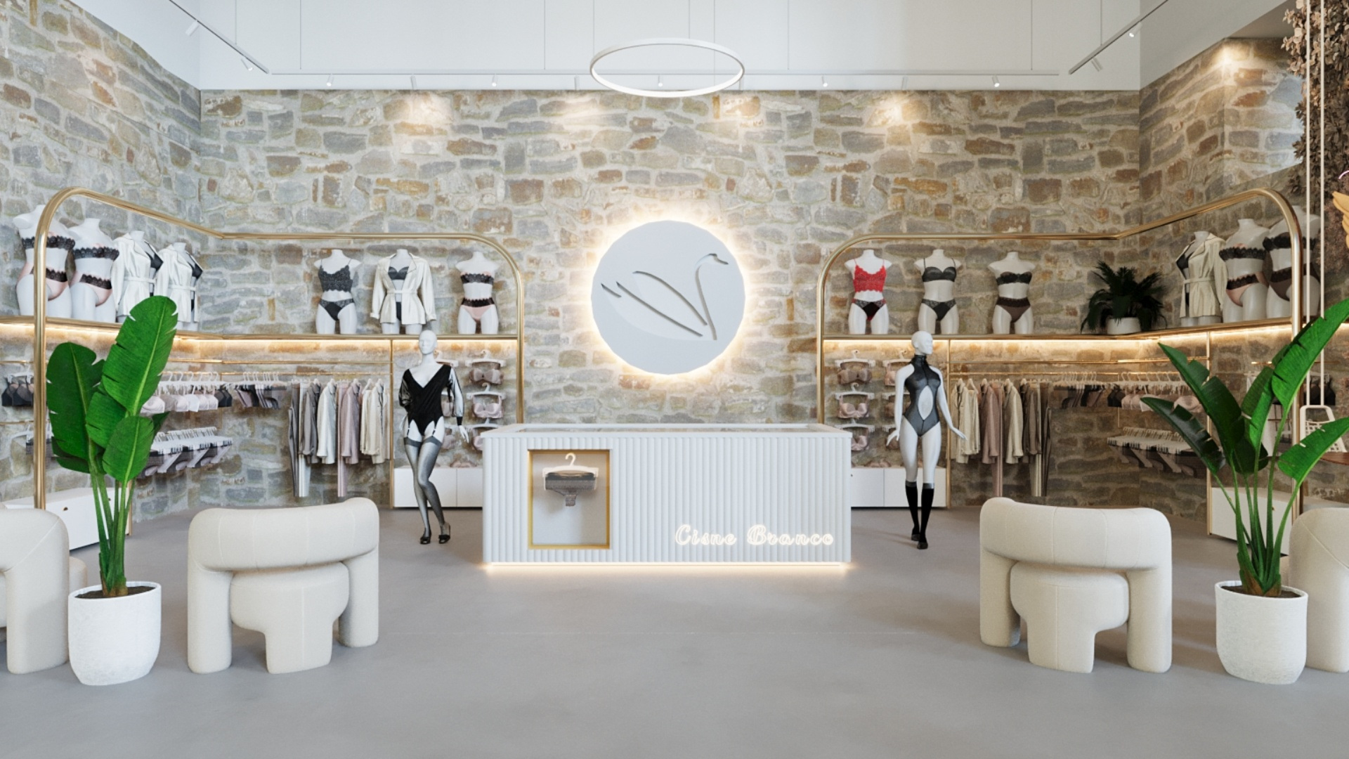 Cisne Branco imagem 5